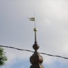 P1014583